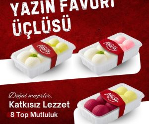 Aydın Toptan Dondurma